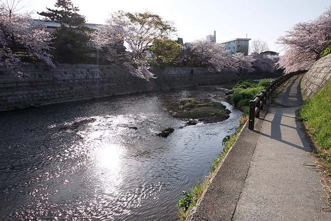 DSC02280.jpg