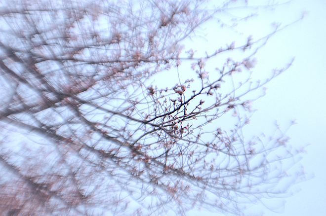 DSC_0119.JPG