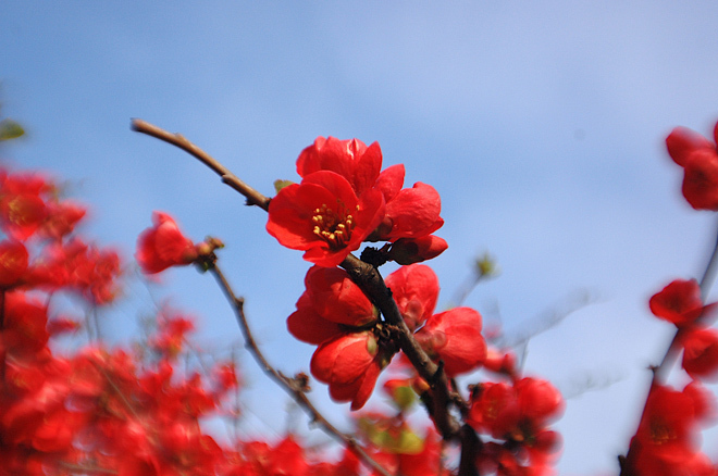 DSC_0136.JPG