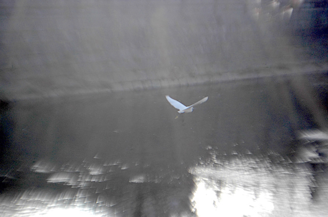 DSC_0164.JPG