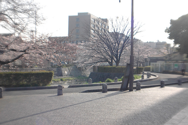 DSC_0212.JPG