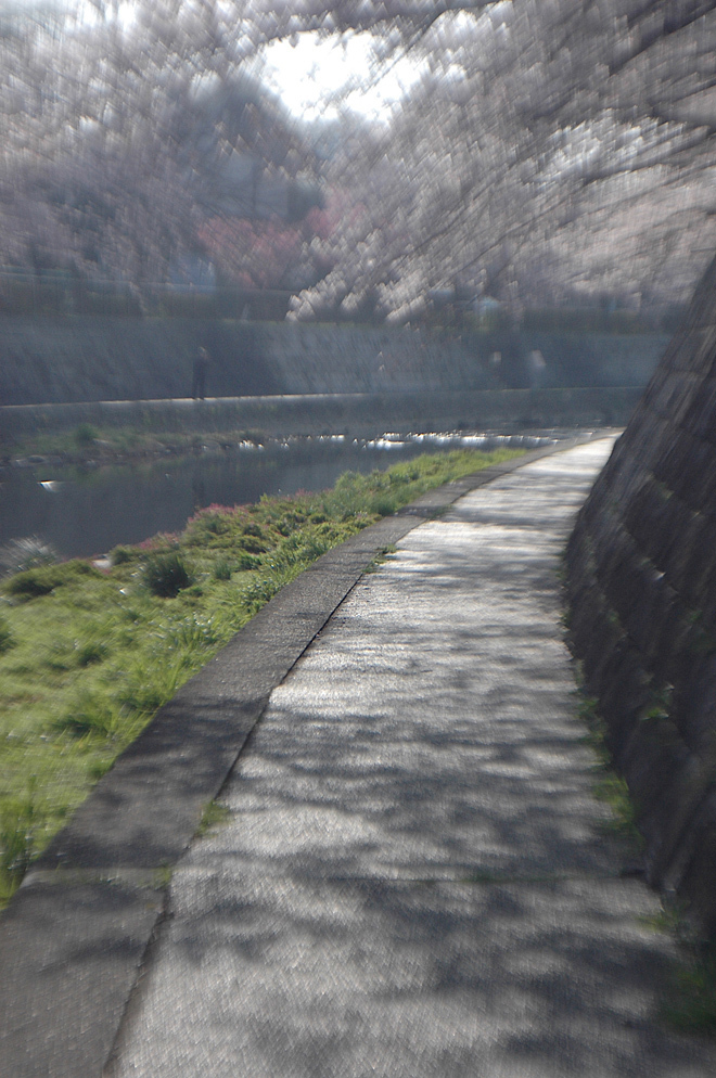 DSC_0235.JPG