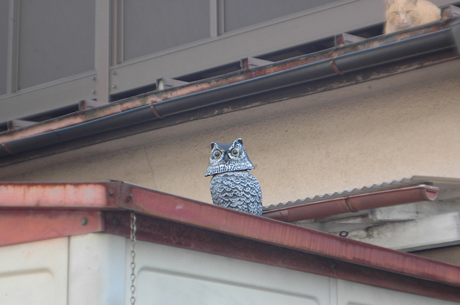 DSC_0277.JPG