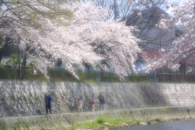 IMG_6629.JPG