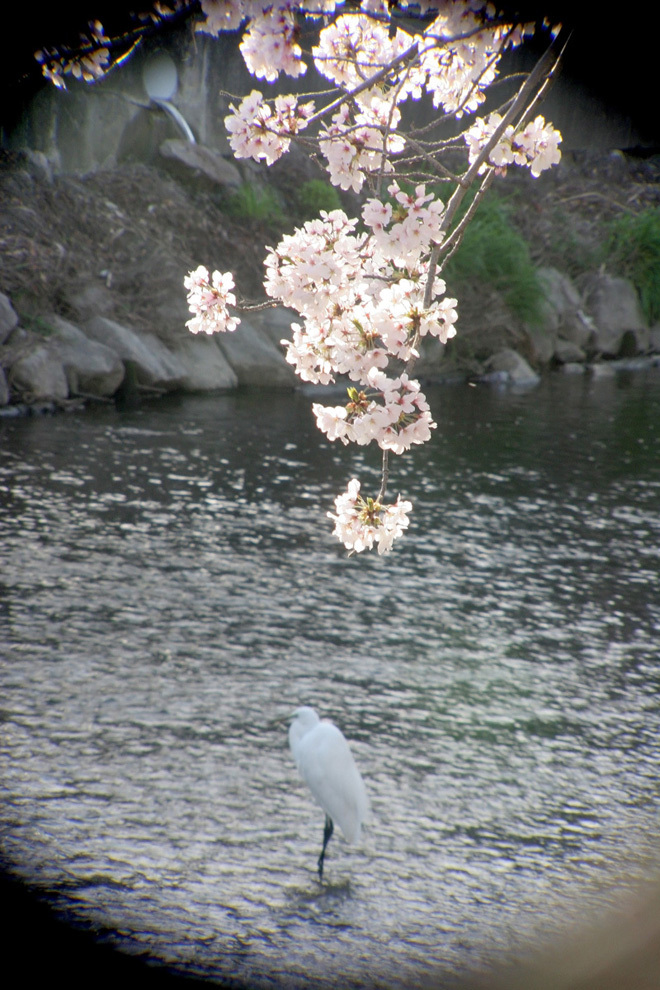 IMG_6679.JPG