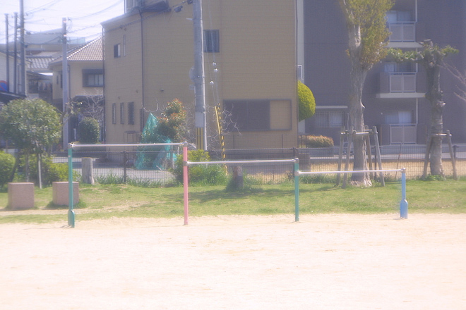 IMG_6687.JPG