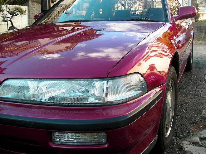 Integra-3.jpg