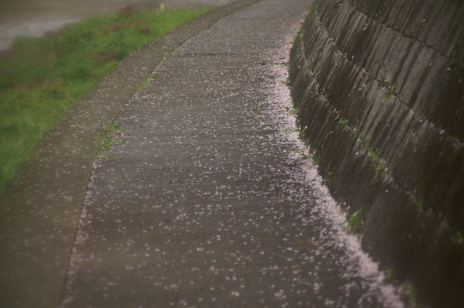 PICT0068.JPG