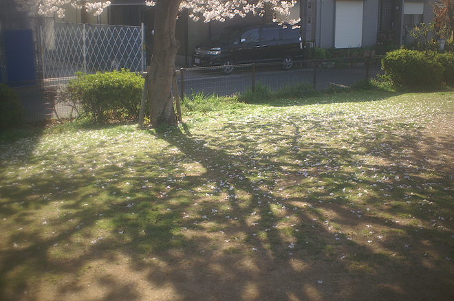 PICT0128.JPG