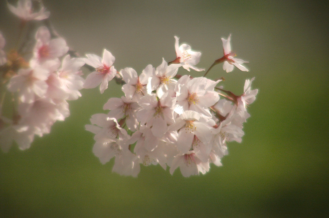 PICT0141.JPG