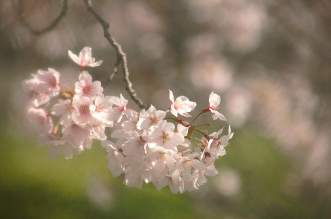 PICT0145.JPG