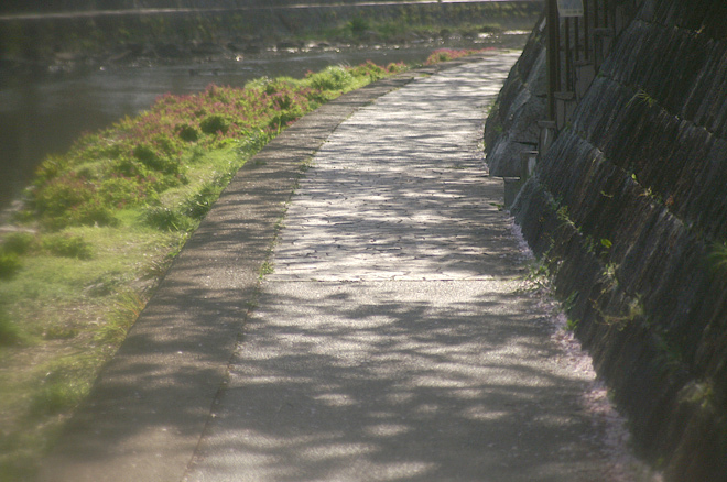 PICT0161-2.JPG