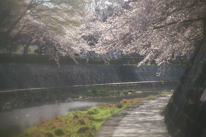 PICT0164-2.JPG