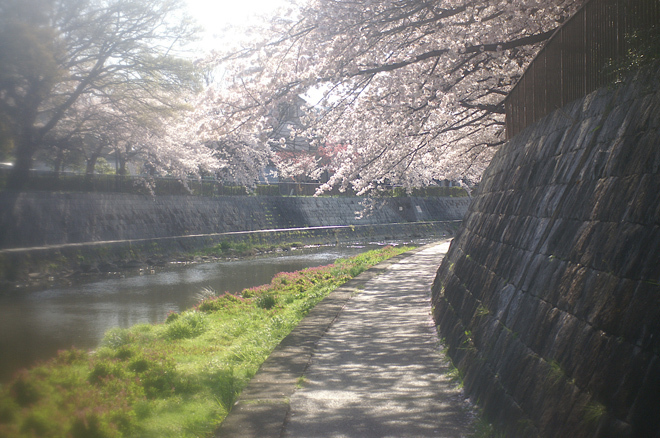 PICT0169.JPG