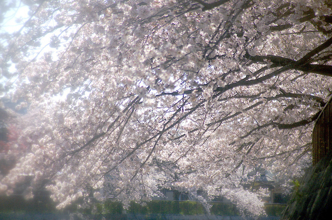 PICT0172-2.JPG
