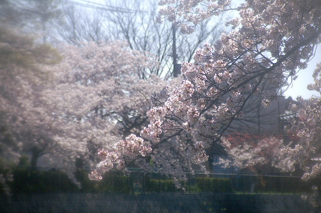 PICT0174-2.JPG