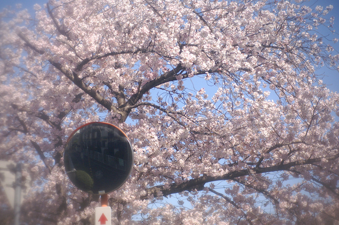 PICT0209.JPG