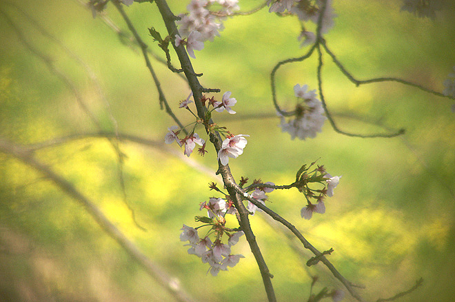 PICT0211-2.JPG