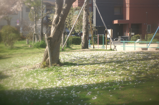 PICT0212.JPG