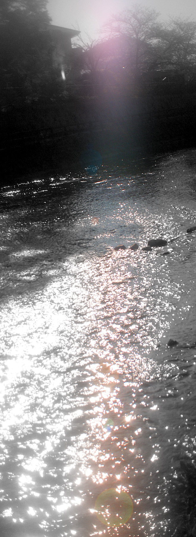 PICT0314.JPG
