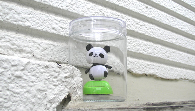 Solar-Panda.jpg