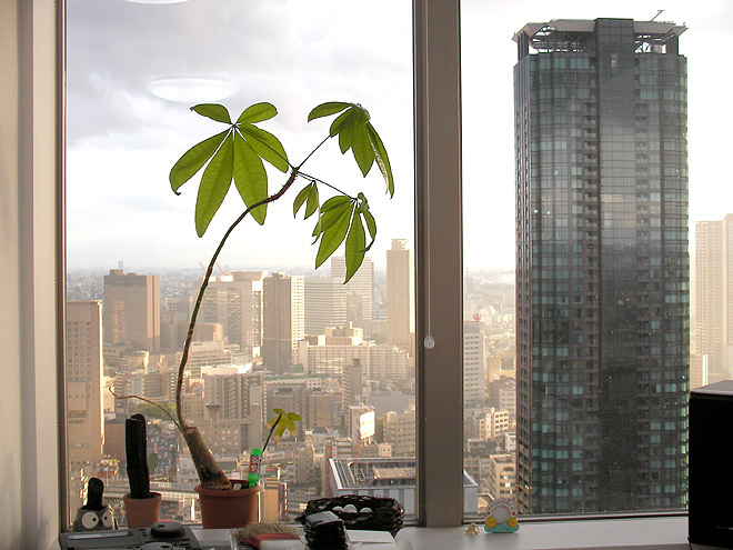 Umeda_0115.jpg
